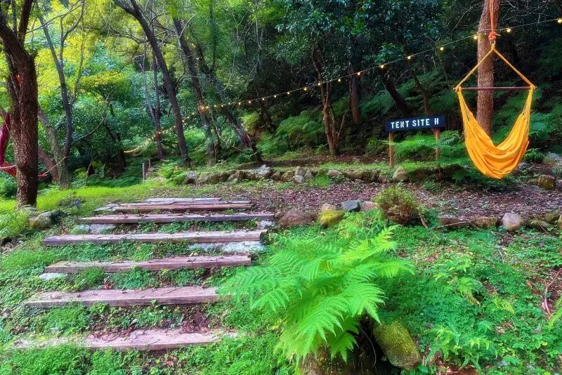 キャンプサイト | IZU GLAMPING RESORT Iahiki385