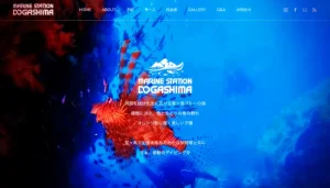 マリンステーション堂ヶ島の紹介 | 伊豆グランピングリゾートIshiki385